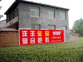 柳城如何让墙体广告展现最大化效果