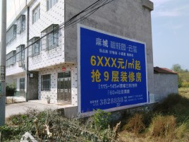 柳城墙体广告质量分析