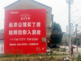 柳城墙体广告在乡镇、农村市场的媒体优势