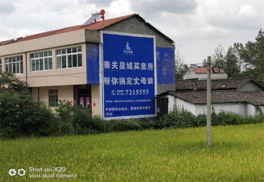 柳城决定墙体广告价格的因素有哪些？