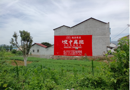 柳城做墙体广告的意义