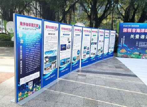 柳城KT板的种类和知识。